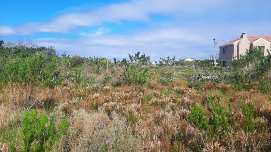 0 Bedroom Property for Sale in Bettys Bay Western Cape